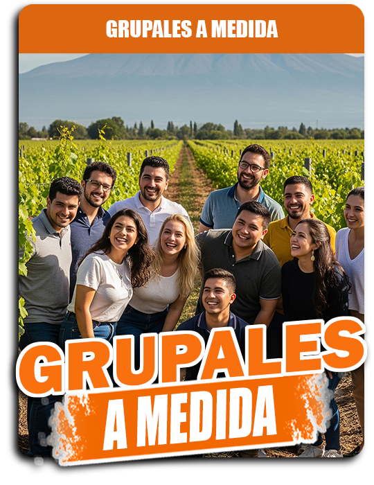grupales a medida